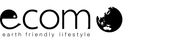 株式会社ecomo